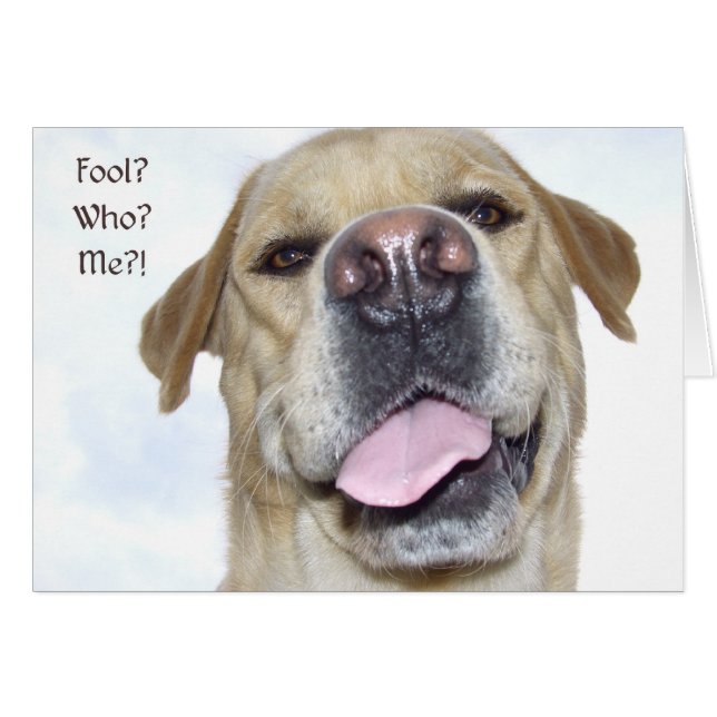 April-dommerdag (Voorkant Horizontaal)