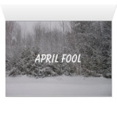 April Fool's Day Flowers and Trees Lawn Scene (Binenzijde Horizontaal (Onderkant))