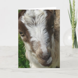 April het Kind La Mancha Nanny Kaart