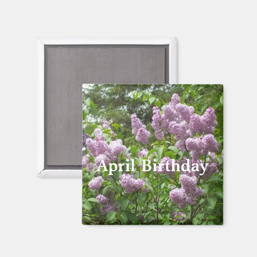 April Verjaardag-Mooie Lila Struik Magneet (Voorkant / Achterkant)