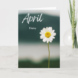 April Witte Daisy Geboorte Maand Bloem Verjaardag Kaart