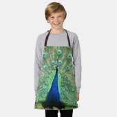 Apron (ao) - Peacock Pride Schort (Gedragen)