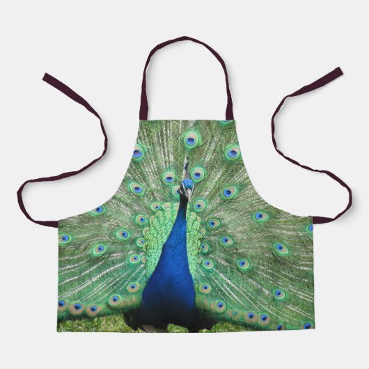 Apron (ao) - Peacock Pride Schort (Voorkant)