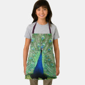 Apron (ao) - Peacock Pride Schort (Insitu)