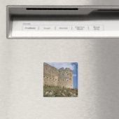 Aptera Fort Magnet Magneet (Insitu (Vaatwasser))