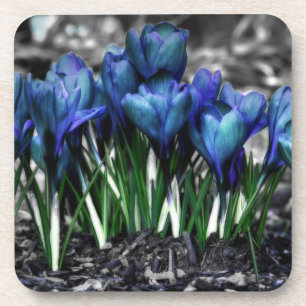 Aqua Blue Crocus Blooms Onderzetter