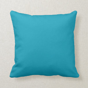 Aqua Blue Green Solid Color - Color - Hue Kussen