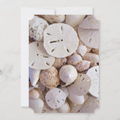 Aqua Blue Sand Dollar Thème Mariage Invitations (Dos)