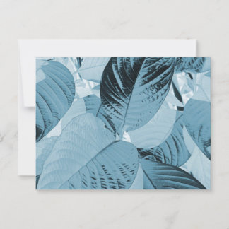 Aqua Botanical Leaves Post Kaart ()