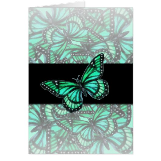 Aqua Butterflies (Voorkant)