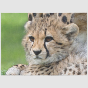 Aqua_Cheetah_20180101_by_JAMColors Tissuepapier