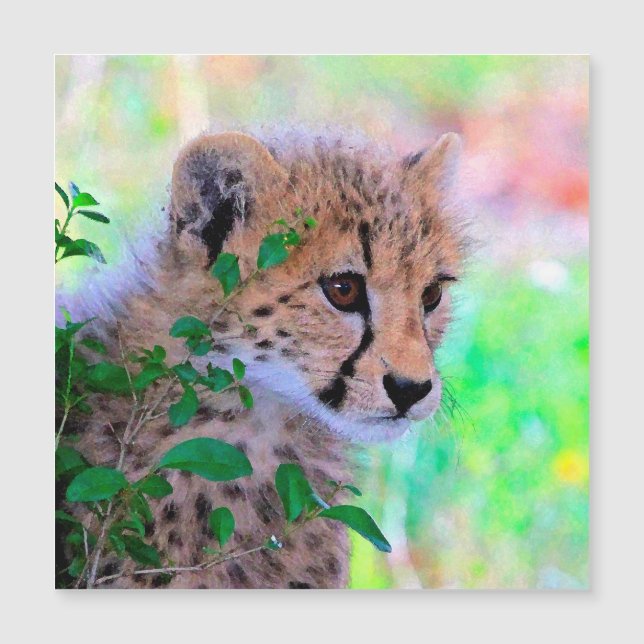 Aqua_Cheetah_20180102 (Voorkant)