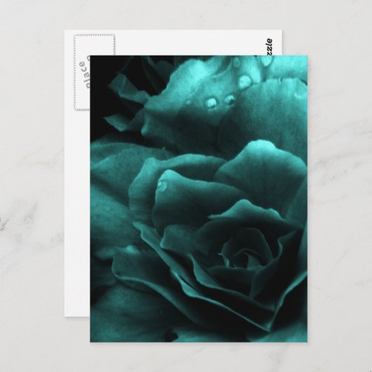 Aqua Close Up of a Double Begonia Briefkaart (Voorkant / Achterkant)