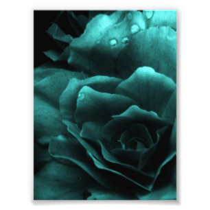Aqua Close Up of a Double Begonia Foto Afdruk