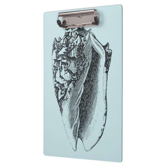 Aqua Conch Shell Klembord (Links)
