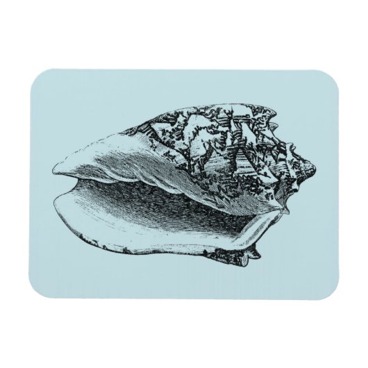 Aqua Conch Shell Magneet (Horizontaal)