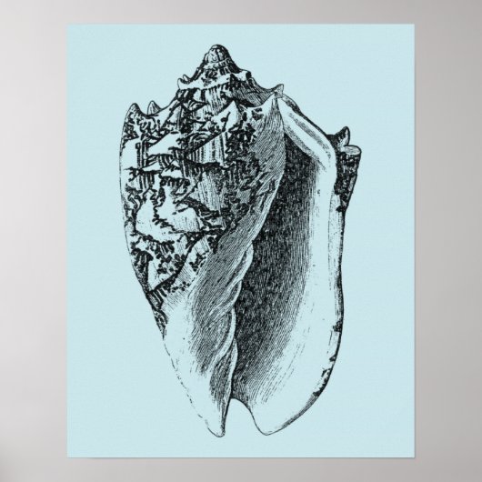 Aqua Conch Shell Poster (Voorkant)