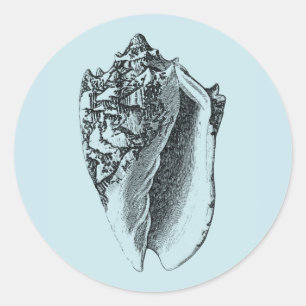Aqua Conch Shell Ronde Sticker