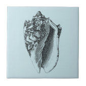 Aqua Conch Shell Tegeltje (Voorkant)