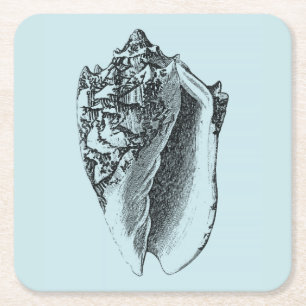 Aqua Conch Shell Vierkante Kartonnen Onderzetter