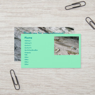 Aqua Damselfly-Visitekaartjes Visitekaartje