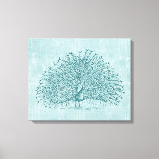 Aqua Peacock Canvas Afdruk (Voorkant)