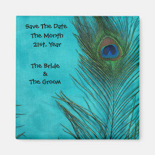 Aqua Peacock Feathers Weddenschap Magnets Magneet