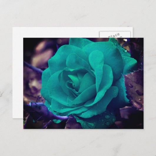 Aqua Rose Flower Personalized Briefkaart (Voorkant / Achterkant)