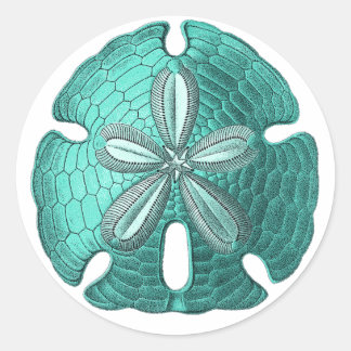 Aqua Sand Dollar Ronde Sticker