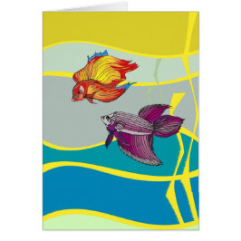 Aqua Sparring Betta Vis