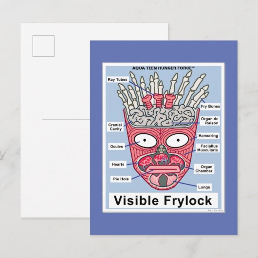 Aqua Teen Hunger Force Visible Frylock Poster Briefkaart (Voorkant / Achterkant)