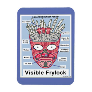 Aqua Teen Hunger Force Visible Frylock Poster Magneet
