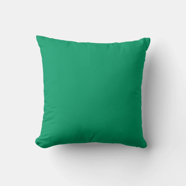 aqua turquoise solide coussin vert turquoise (Recto)