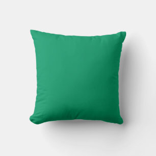 aqua turquoise solide coussin vert turquoise
