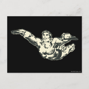 Aquaman Soars BW Briefkaart