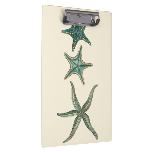 Aquamarine Triple Starfish Klembord (Rechts)