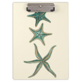 Aquamarine Triple Starfish Klembord (Voorkant)