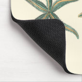 Aquamarine Triple Starfish Muismat (Hoek)