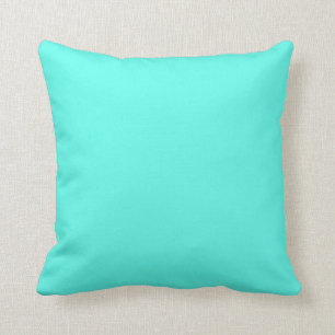 Aquamarine (vaste kleur) kussen
