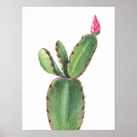 Aquarel Cactus Roze Bloem Poster (Voorkant)