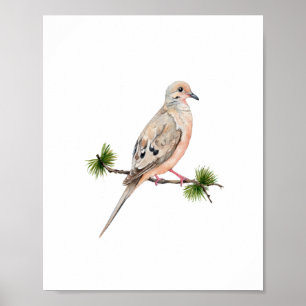 Aquarel Duif Vogel Schilderij Poster