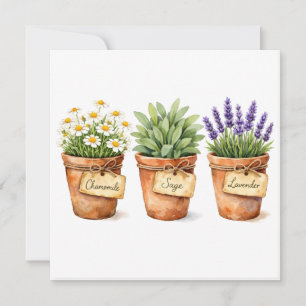 Aquarel Kruiden die in de Potten Groeien Kaart