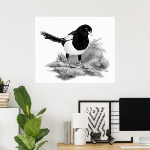 Aquarel Nieuwsgierige Ekster Vogel Natuur Kunst Poster