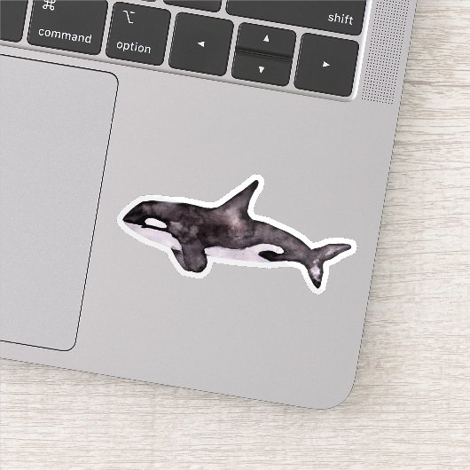 aquarel orka sticker (Detail)