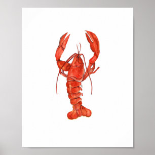 Aquarel Rode Kreeft Schilderij Wandkunst Poster