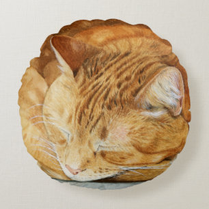 Aquarel Schattige Sleepy Cat Sierkussen Rond Kussen