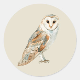 Aquarel Schuuruil Vogel Wild Dier Kunst Ronde Sticker