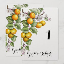 Aquarel Tafelnummer met Fruit en Bloemen voor een 