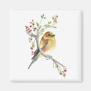 Aquarelle américaine Goldfinch Bird Magnet