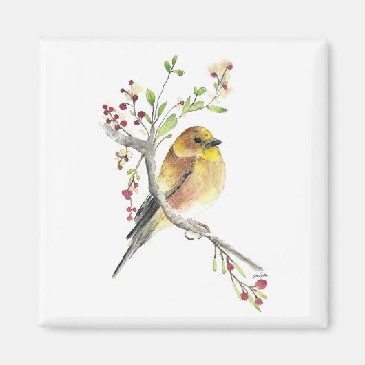 Aquarelle américaine Goldfinch Bird Magnet (Devant)